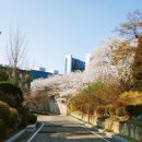 유성골프사우나 이미지