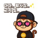 엔비디아 수익률 양전! 하면 서학개미 주식생활 끝나냐?(엔비디아 투자 5개월 후기)
