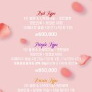 본식 스냅 &#39;올바른스냅&#39; 본식스냅+dvd+연회장스냅 계약 후기