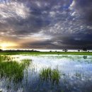 오리노코(orinoco) 이미지