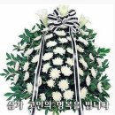 박진택 카카오 검색결과