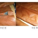 동성세탁 이미지