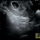 맘편한산부인과의원 이미지