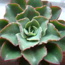 양기농장 이미지