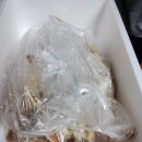 매천수산시장 대게, 광어회, 오징어회 구매 가격과 후기