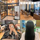 엘바이블룸헤어 김포장기점 : 김포장기동미용실 클리닉 후기 친절하고 실력 좋은 미용실 추천