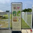 서촌동 댕번지 이미지