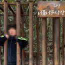 숲속의작은마을 이미지