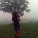 사계절목장 이미지