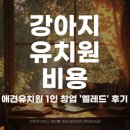 옐레드 애견유치원 & 애견호텔 광명점 | 강아지유치원비용 애견유치원 1인 창업 옐레드 후기