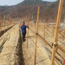 종삼농장 이미지