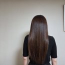 유럽 해외여행 준비물 여행용 헤어드라이기 다이슨 슈퍼소닉 트래블 신제품 출시
