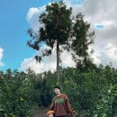 연정농장 이미지