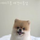 양덕천길 이미지