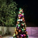 크리스마스 트리 | 애견동반 데이트 이천 시몬스테라스 크리스마스 트리 후기