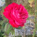 대가건설 이미지