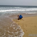 동호목장 이미지