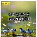 내 휴대폰의 아내 호칭은? 이미지