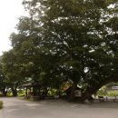 영양할머니경로당 이미지