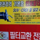 독도카타이어 이미지