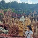 스토리1무인텔 이미지