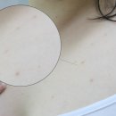 골든워시 이미지