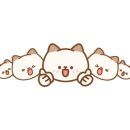 살랑애견미용실 이미지