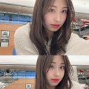푸르나헤어 | 차홍룸 반포점 손우빈 디자이너 중단발 보더펌&염색 내돈내산 후기