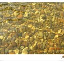 부곡종합시장사거리 이미지