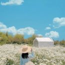 오늘 여기 이미지