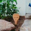 다포아라 이미지