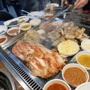 탐라제주도야지 이미지