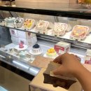 써니터틀 이미지