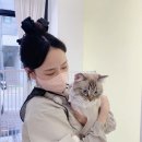 재이미