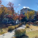 경기도 수원시 팔달구 세지로399번길 이미지