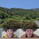 천사섬마트 이미지