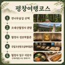 월정사 - 1357 | 평창 가볼만한곳 오대산 월정사, 전나무숲길 여행코스 후기