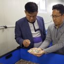 김영규농장 이미지