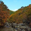 JIRI VALLEY 네이버블로그