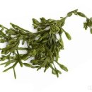 파이힐(주) 이미지