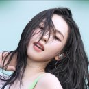 카리나vs맘회원님 이미지