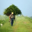 구례의길(섬진강길) 이미지