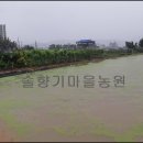 인한농장 이미지