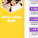 멘사사고력교육학원 이미지