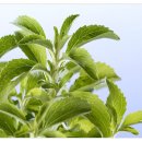 우리몸한의원 이미지