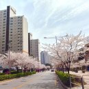 바둑공인중개사사무소 이미지