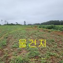 [국도77] 태안군 달산리 이미지