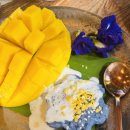 춘이농장 | 치앙마이 그랜마즈 홈 쿠킹클래스 강추 (치앙마이 자유여행 액티비티, 예약 정보)