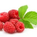 반포전자 이미지