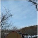 금수강산 이미지